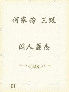 何家驹 三级